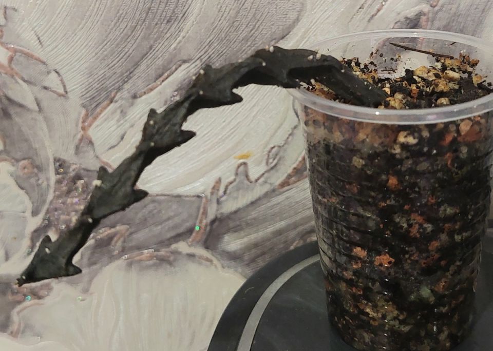 ����� ������������ ����������� ��� ������ ����