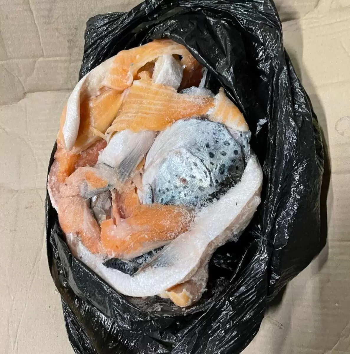 Семга на прилавках: свежесть и качество гарантированы