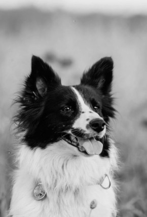 "����� � �������� ��� �����": ����������� ��������� ���� �����-���������� ���������� ������ "���������" � ��������� �������