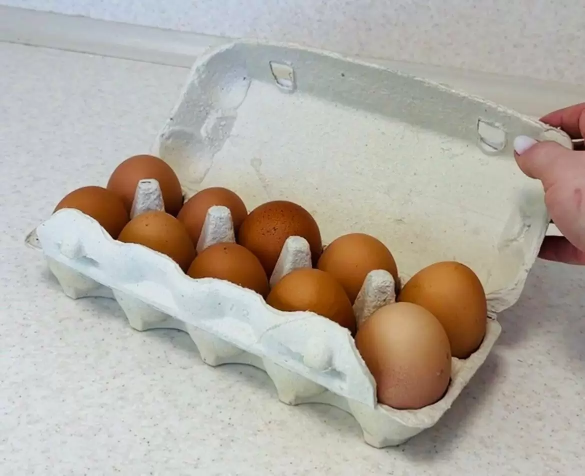Удивительный секрет, как разместить 14 яиц в стандартном лотке