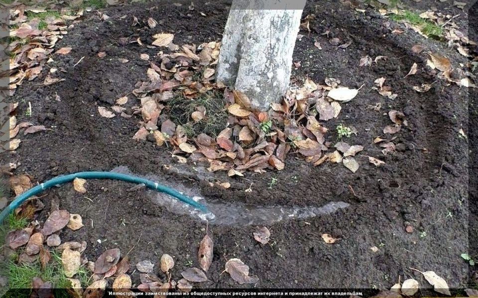 �������� �����: 20 �������� ��� � ���� � ������� ����� ��������