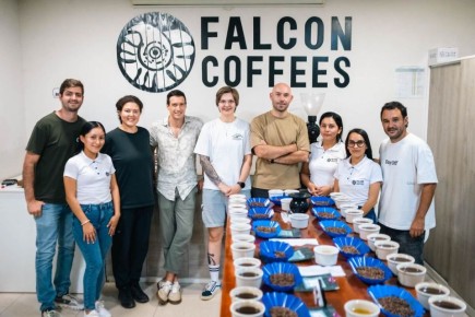 ���������� �������� �����: ����� ������ �� ��� ����