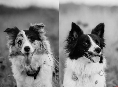 ������� �������� �������� �� ����� ��������� �������� �����-���������� � ��������� �������