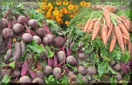 ������� ��������� ������ ������ � �������: ������ ������ ��� �������� ���������