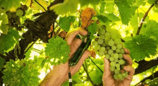 ������� ��������� ���������: ������� �������� ������ ������