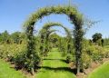 Садовые арки: изящество, поддержка и уют в вашем саду