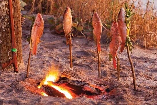 ������������� ������ ���� "�� �����"