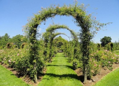 ������� ����: ���������, ��������� � ��� � ����� ����