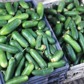 ��� ������� ������ ����� ������� ��� ���������� ������ � ���� ������