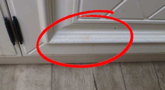 ��� ������ �������� ����� ����� ����: ������� � ����������� ������