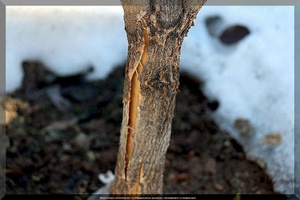 ������� ����� �� ����������: ������, ������� ������� ��������� ����