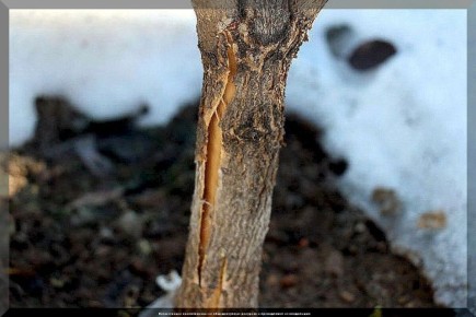 ������� ����� �� ����������: ������, ������� ������� ��������� ����