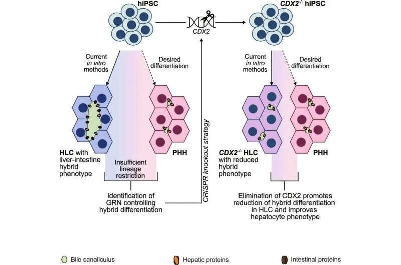 ������ ��������� ����� ���������: ������ ������ �� ��������� ������ - ��������� ��������� �������