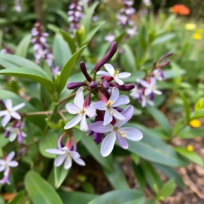 �������� ��������: ��������� ��� � ����� ����� � ������������ ��������