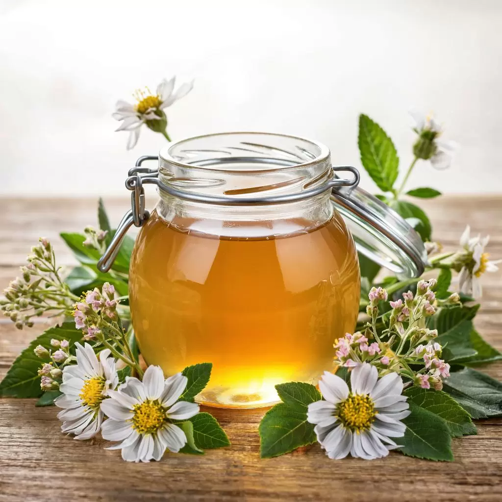 Как распознать настоящий мед: секреты настоящего дегустатора