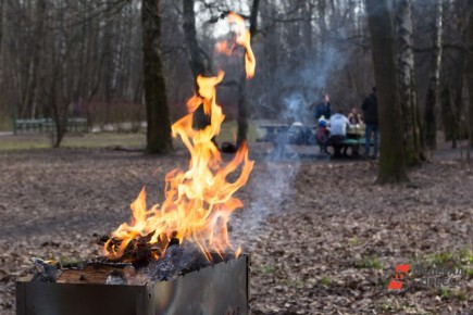 ������� ��� ��������: ����� ���� ��������� � �������������� ������