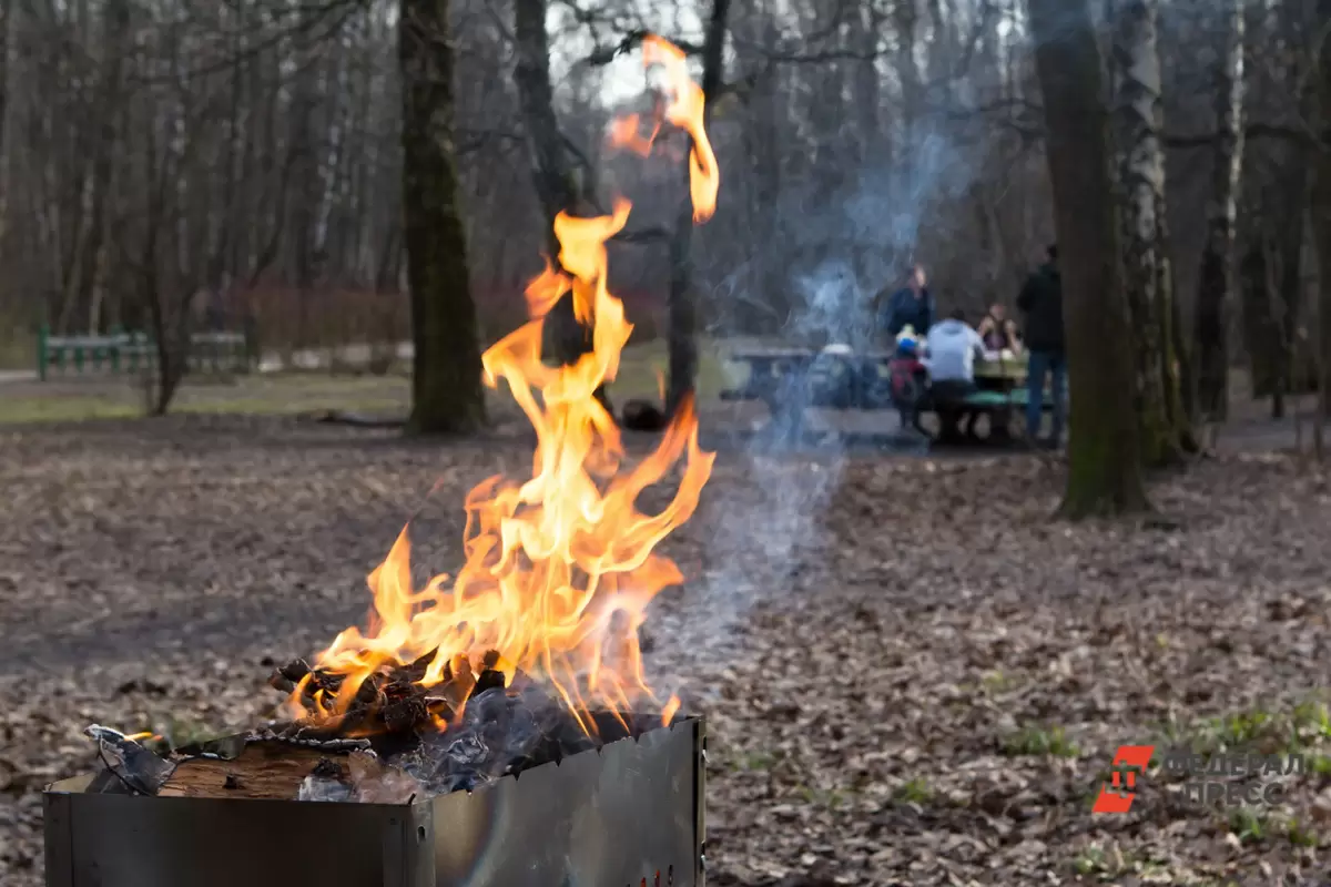 Шашлыки под запретом: Южный Урал готовится к пожароопасному сезону