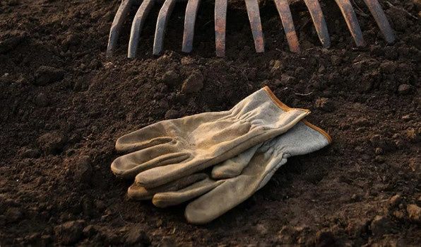 ������ ����� �� �������� ��������� ������ ���� ������ � ��������� ����� �������?