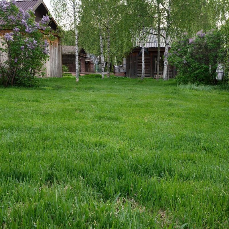 ���������� �����: ����� ������ �� ������� ���� �� ������� �������������