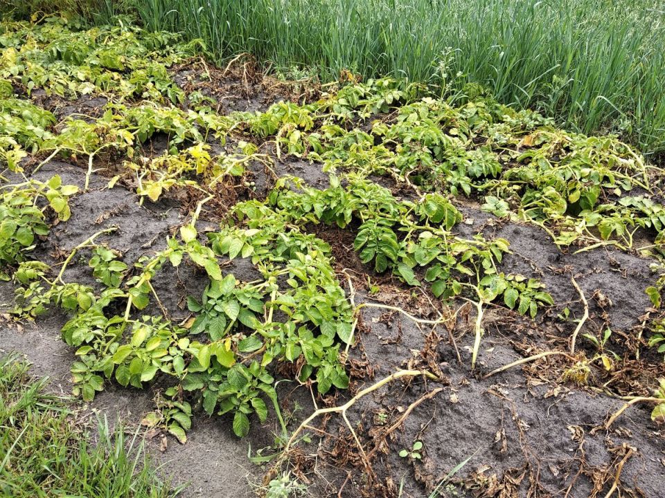 ���������� ����� ��������: ��� ������� � ��������� ��� ���?