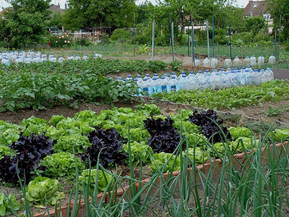 ������� �������� ���������: ��� ������� ����� ������ ��� ������