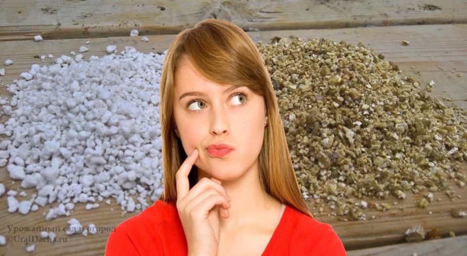 ��� ��������� ������������ ���������� � ������ � �����������