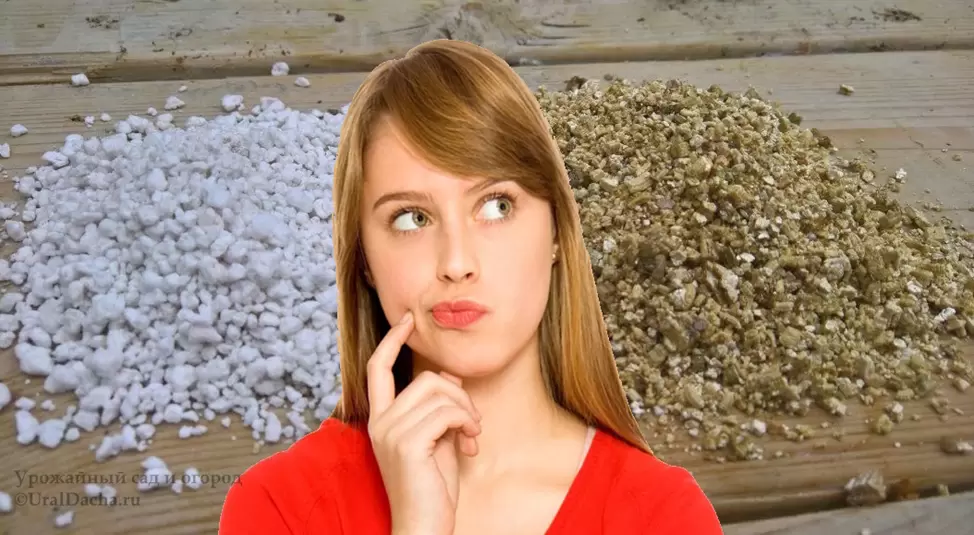 Как правильно использовать вермикулит и перлит в садоводстве