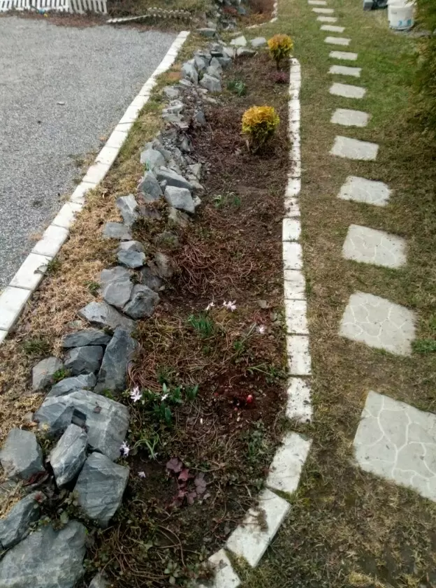 Как создать цветник, который будет радовать глаз с весны до осени