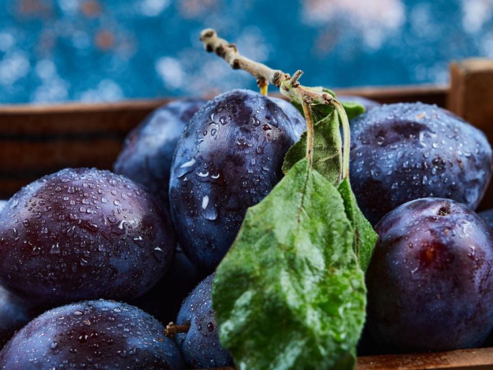 ��� ������ �������� ����� ��������� ���� ������� ������