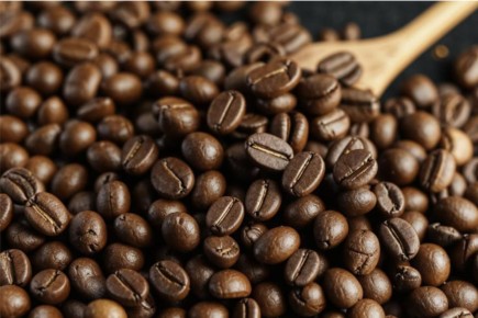 ������ � ������: ����� ������ ��������� ���������� �������������