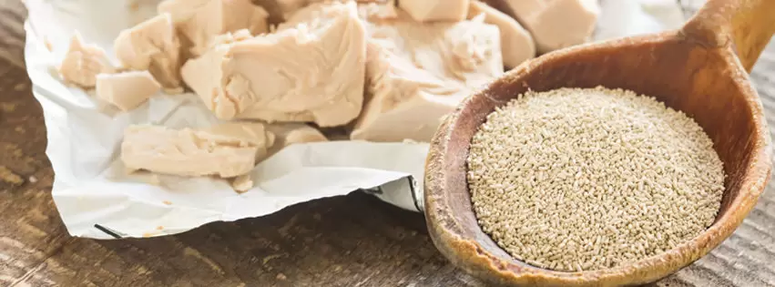 Как выбрать между живыми и сухими дрожжами для идеальной выпечки