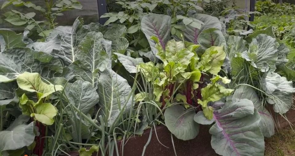 ��������� �������: ��� ������������ ��������� ������