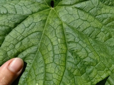 ������ ��������� �� ��������� �� ���������� �����: ������� ������ � �����������