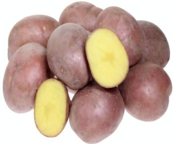 Картофель Ароза: универсальный выбор для ранних урожаев