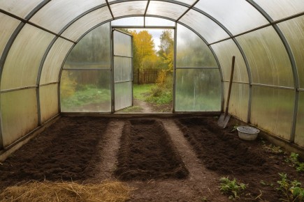 ��� ���������� ����� ������� ��������� ������� ��� �������: ������������ ������������