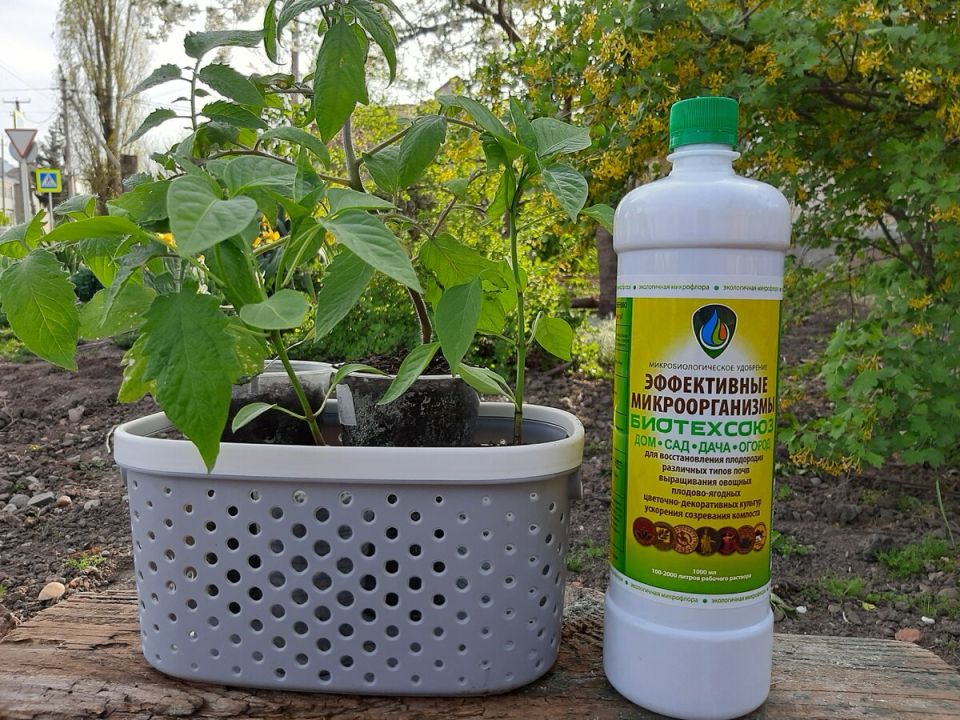 ���������� � ������ � ���������: ��� ����������� �������������� �������� ����������� ���� ����