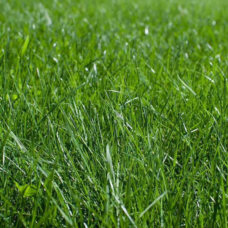 ��� ����������� ����� � ����: ������ ���� ��� ���������� �������� �����