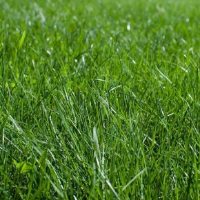 ��� ����������� ����� � ����: ������ ���� ��� ���������� �������� �����