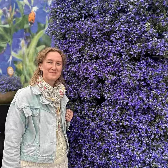 Лобелия Мастерпис Блю Виз Ай: Новая эра в мире цветочных питомцев