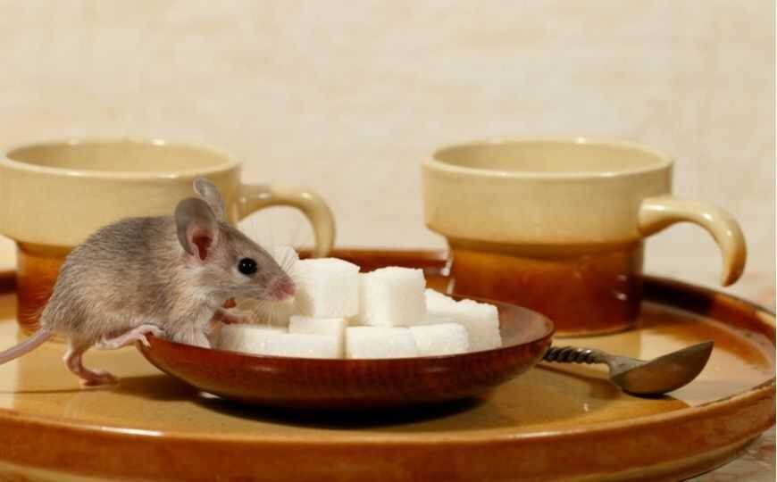 15 �������, ������� �������������� ������� ����� �� ������ ����