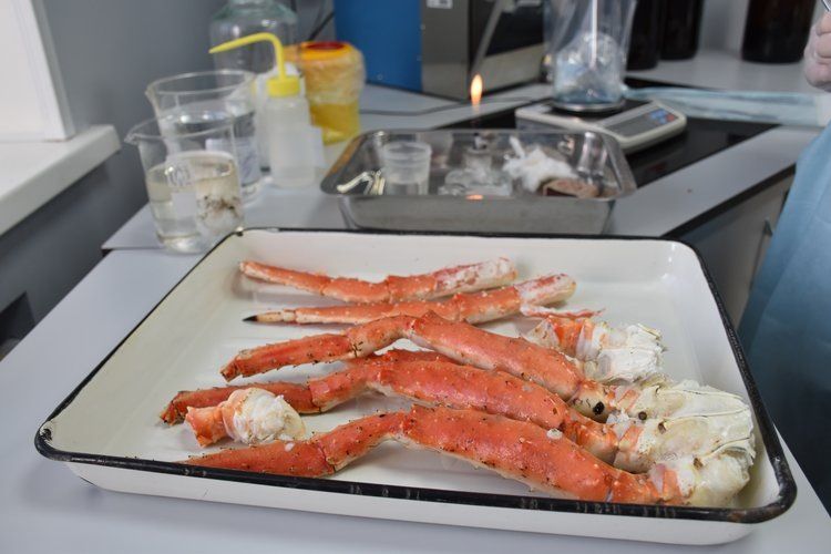 � 20 ������ ����� ���������� ������� �������