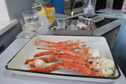 � 20 ������ ����� ���������� ������� �������