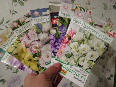 �������: �������������� ����� ��� ���������� ������