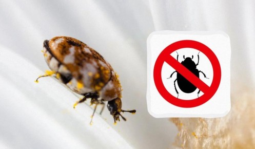 ��������� ����� � ����� ����: ����������� ������ � ������� ������� ������ � ����