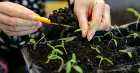 ��� ��������� ����������� ����� ��� �������: ������ ��� �������� ������