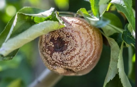 ��� �������� ������ �� ���������: ������� ���� � ��� �����������