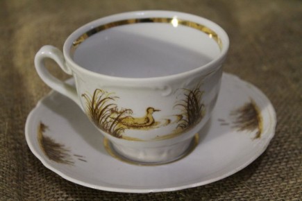 ������� ��������� �������� ���������� ����