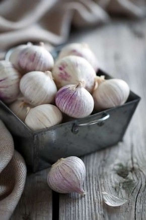 ��� �������� �������� �������: ������ �� ��������