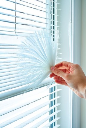 ������� ���� � ������� ����������: ����������� �������� ��� ��������� ����