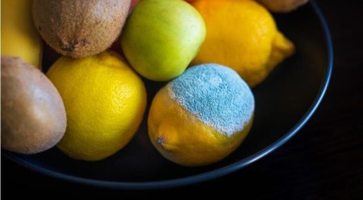 ������� ������ �� ����� ��������: ����� �� ���������?